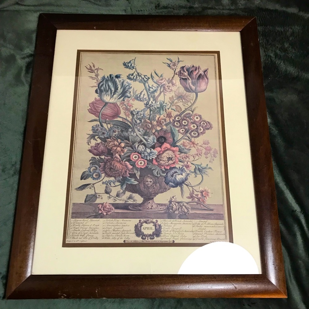 Vintage Robert Furber April Framed Matted Botanical Print H Fletcher Engraver